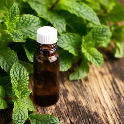 Peppermint Essential Oil Peppermint Essential Oil