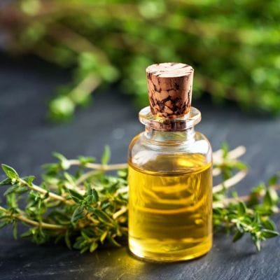 Thyme Essential Oil Thyme Essential Oil